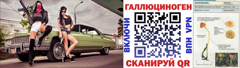 blacksprut   Сердобск  Псилоцибиновые грибы Psilocybe 