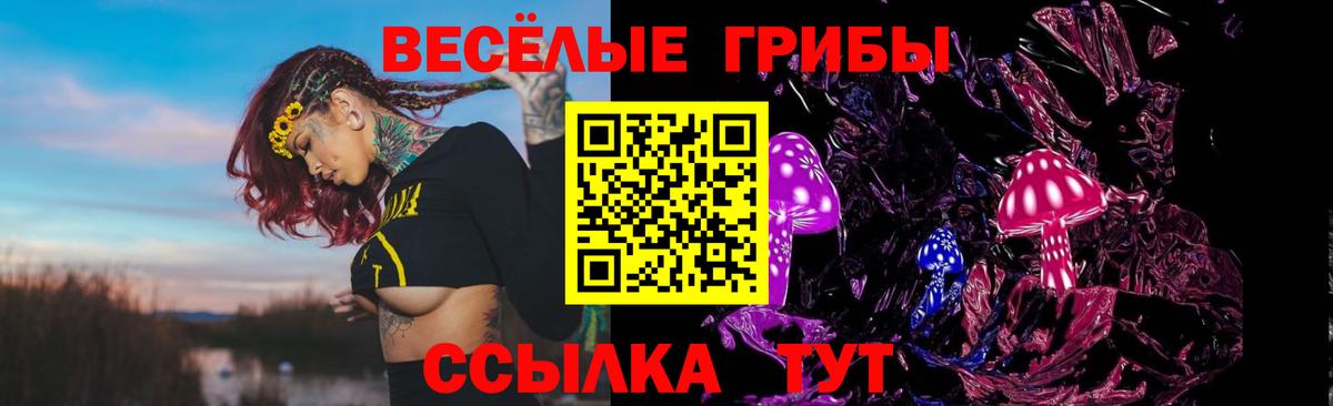 Галлюциногенные грибы Psilocybine cubensis  Галлюциногенные грибы мухоморы  Сердобск  Вход с VPN 